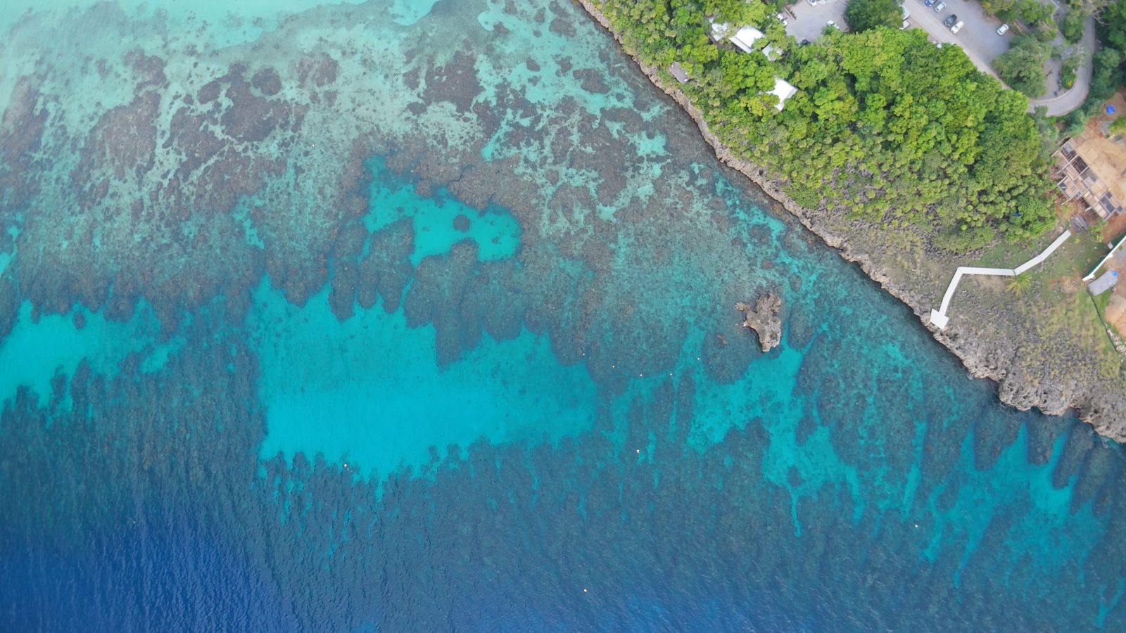 Apnée à West Bay, Roatán