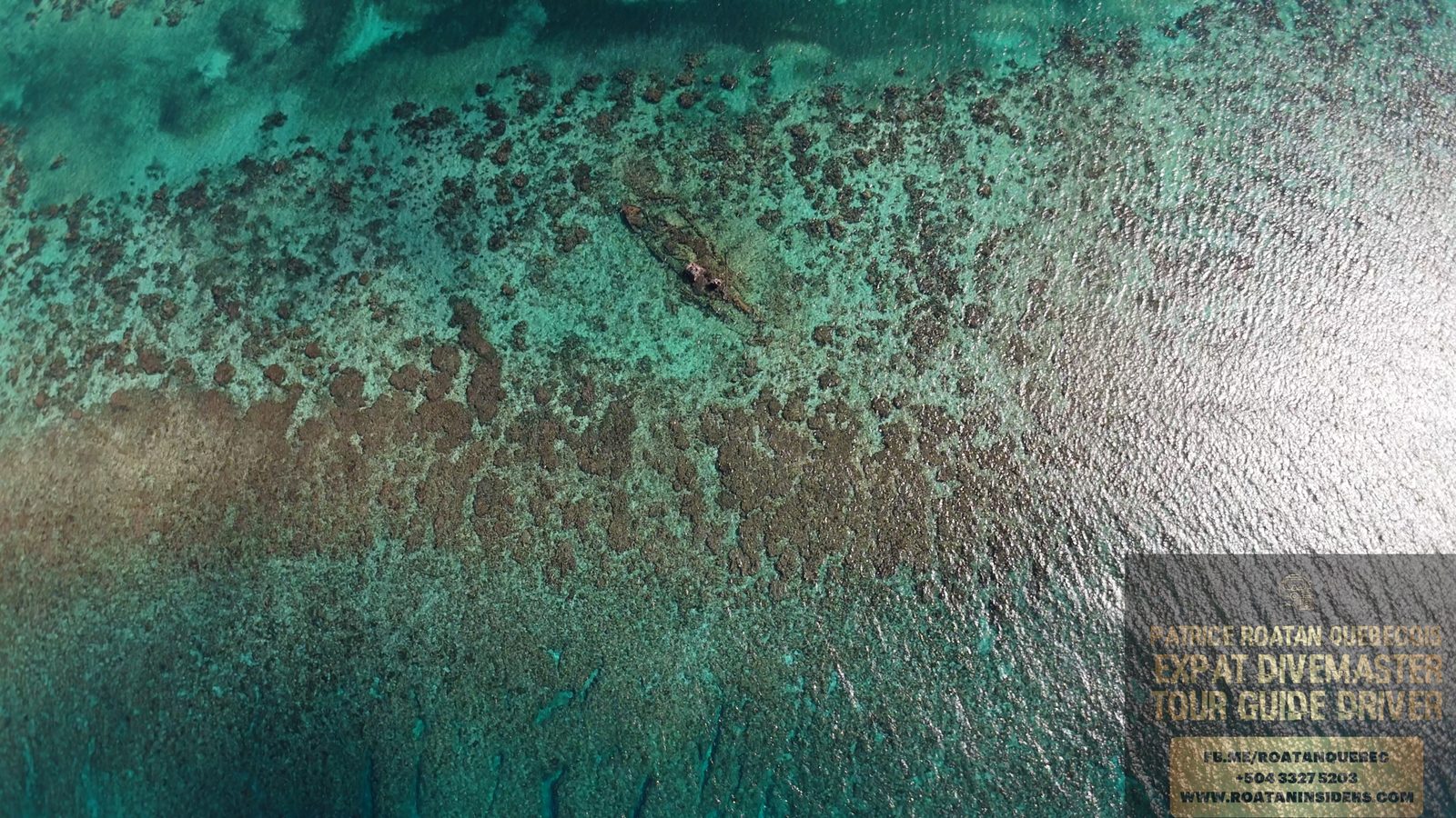 Apnée à West Bay, Roatán